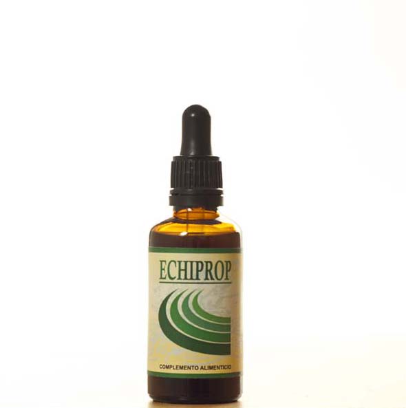 ECHIPROP